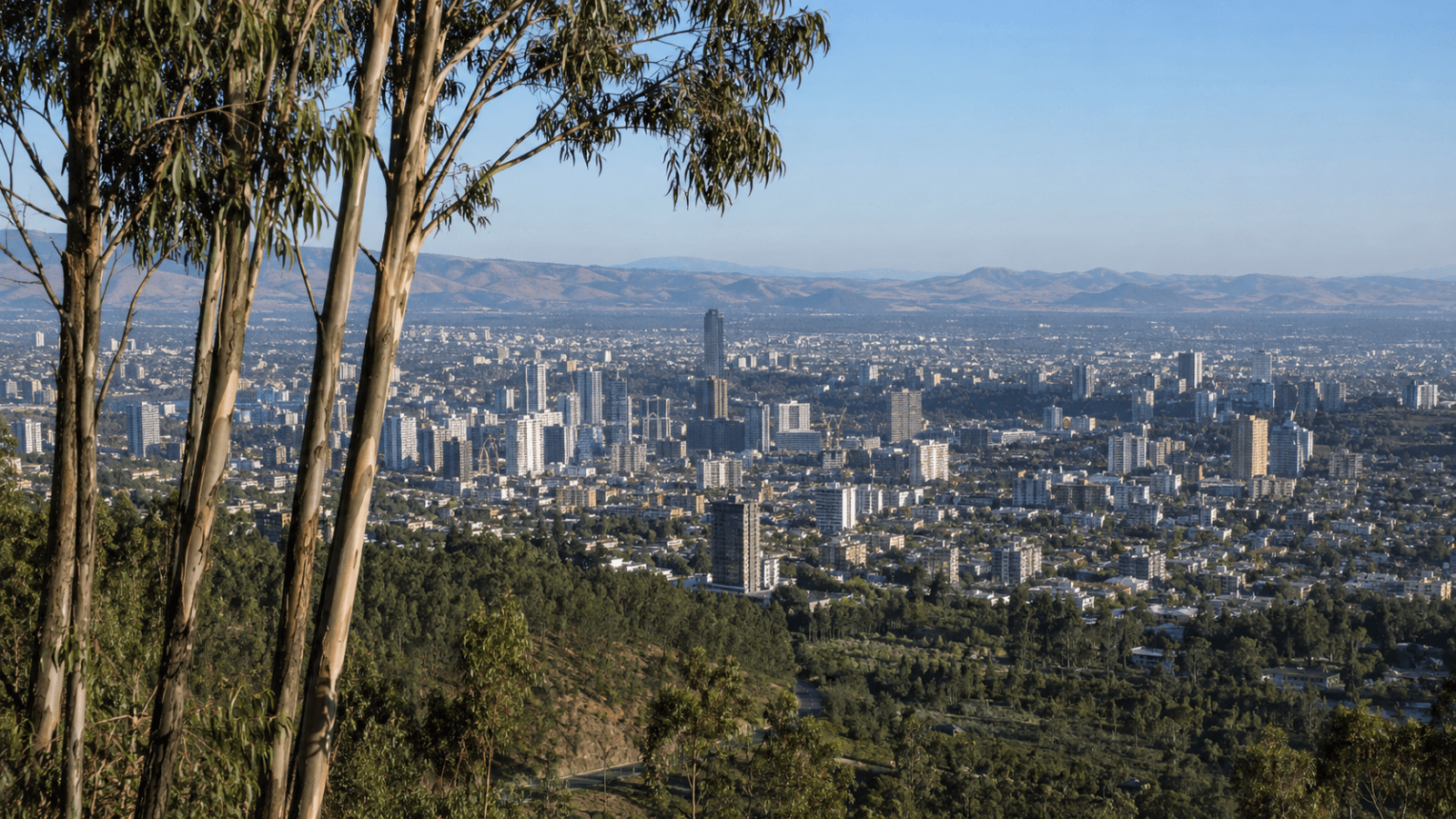 Panoramic view across Addis Ababa from the Entoto hills